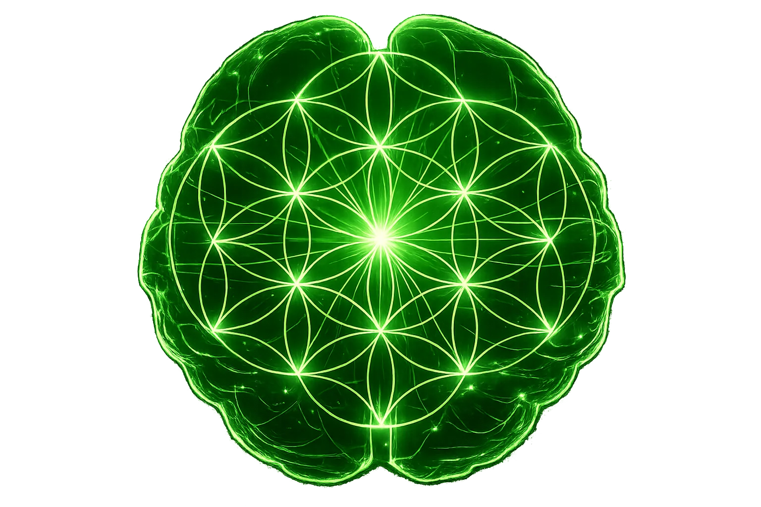 Neurocortex logo